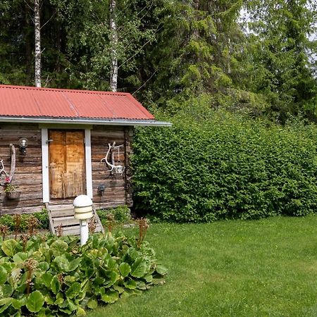Mummon Moekki - Granny'S Cottage Suonenjoki Екстериор снимка